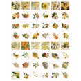 thumbnail image 4 of Pegatinas Temáticas, Pegatinas Para álbumes De Recortes Duraderas 100 Piezas Para Manual, 4 of 8