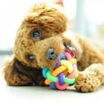 thumbnail image 5 of Clearance!Newest Pet Dog Cat Colorful Ball Toy Colorful Rubber Round Ball with Small Bell Toy Pet Dog Chewing Ball Pets Suppliers, 5 of 5