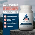 thumbnail image 7 of Ayush Herbs Rentone Kidney Support Supplement with Magnesium and Cranberry, 90 Capsules, 7 of 7