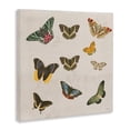 thumbnail image 2 of Stupell Industries Eclectic Antique Butterfly Flight Canvas Art, 17 x 17, by Dan Meneely, 2 of 8