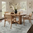 thumbnail image 2 of KUETH 3'x5' Area Rugs for Living Room, Non Slip Machine Washable Vintage Indoor Rug, Low Pile Chenille Print Rug for Bedroom Dining Room Home Office, 2 of 8