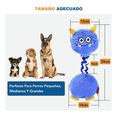 thumbnail image 2 of Juguete Para Perro Juguete De Masticar Cachorro Chirriantes Lab.G, Azul, 2 of 5