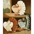 thumbnail image 3 of Gustav Prütz 15x18 Black Modern Framed Museum Art Print Titled - White Tail, Color and White-Bindy Peacock Pigeons (1884-1886), 3 of 5