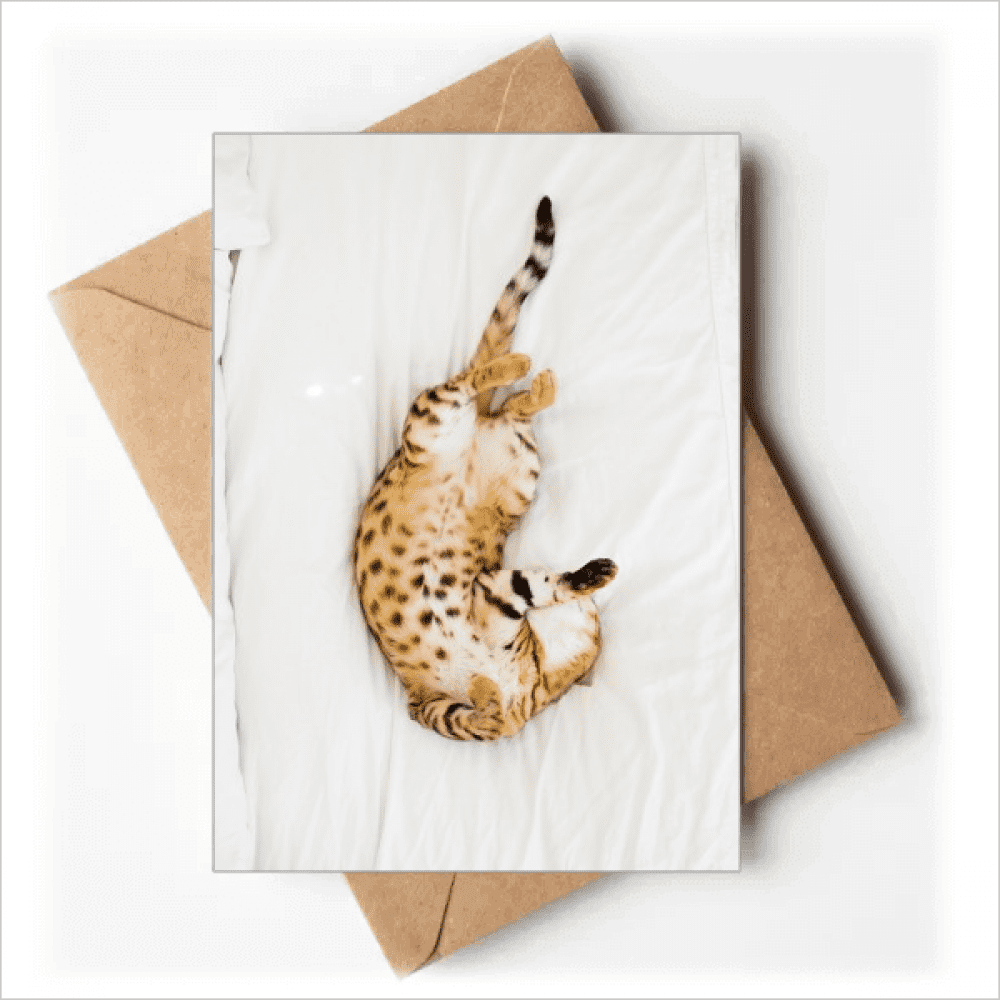 animal ocelot cat photograph greeting cards you are invited invitations