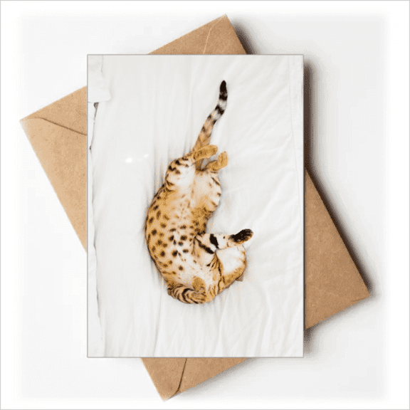 animal ocelot cat photograph greeting cards you are invited invitations