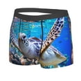 thumbnail image 2 of Disketp Sea Turtle Swims Men'S Boxer Briefs,Soft And Breathable Cotton Underwear With Comfortflex Waistband, 2 of 9