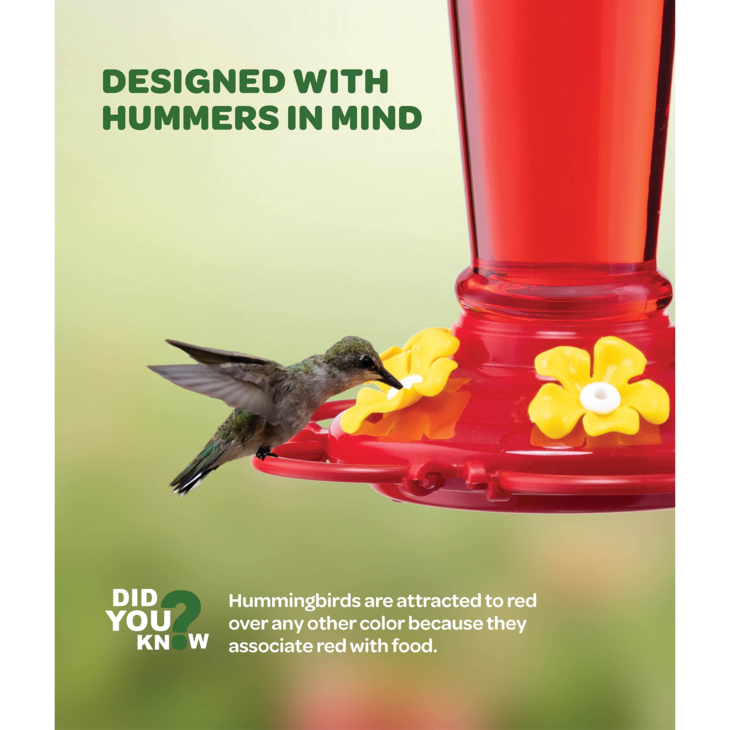 Glass Hummingbird Feeders 10 oz 2 Pack Outdoor Use