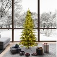 thumbnail image 2 of Vickerman 6.5' x 57" Kamas Fraser Fir Artificial Christmas Tree, Warm White Dura-lit LED Lights, 2 of 2