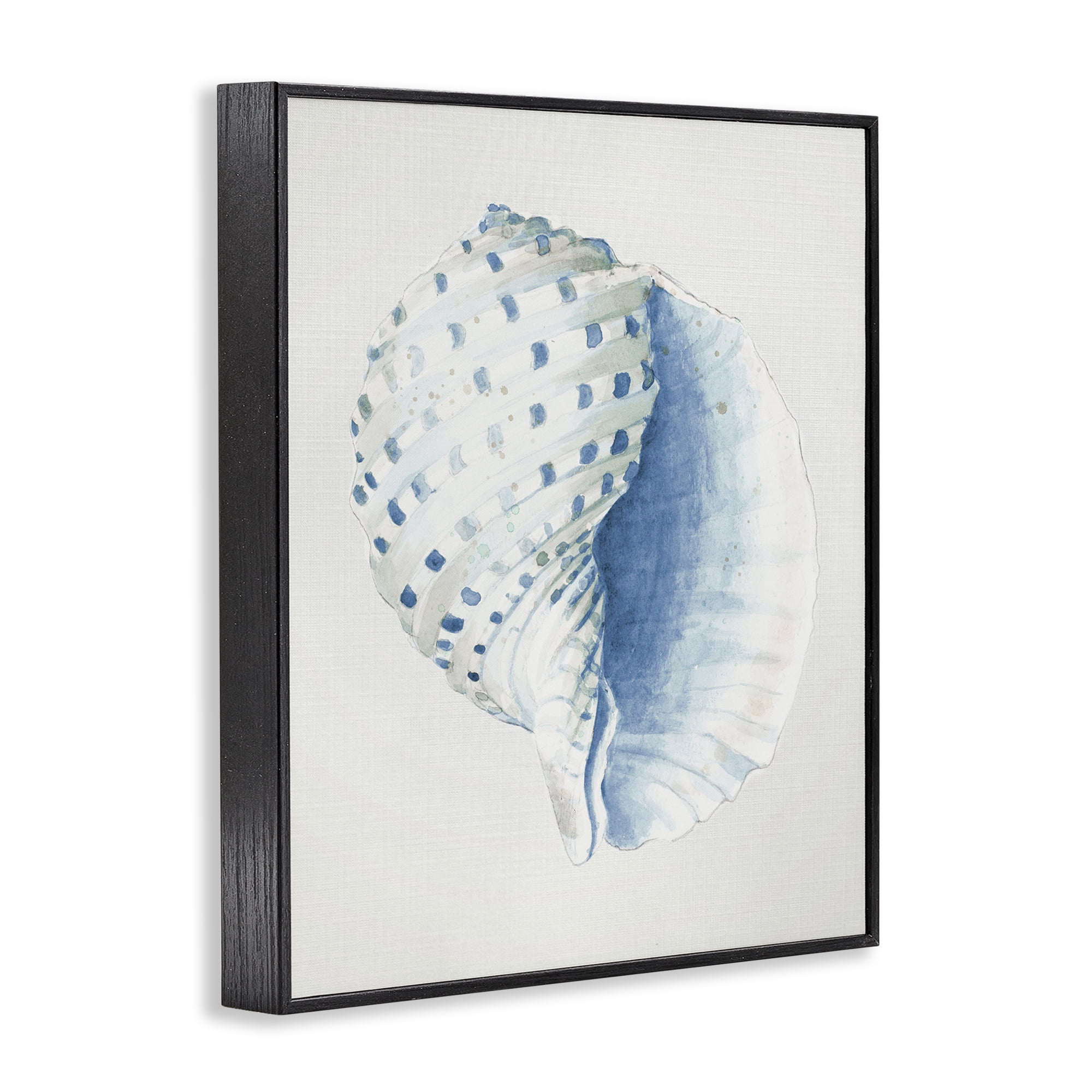 Stupell Industries Spotted Conch Shell Animals & Insects Painting Black Framed Art Print Wall Art, 11 x 14