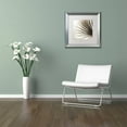 thumbnail image 3 of Trademark Fine Art "Florison 66" Canvas Art by Alan Blaustein, White Matte, Silver Frame, 3 of 4