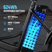 Qlife Triker Plus Electric Bike, Over 750W Brushless Motor Electric Tricycle for Adults, 48V 13Ah, Max 20MPH Up to 65 Miles ,20x4.0 Fat Tire E-Bike(black)