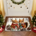 thumbnail image 4 of YIMEIS Flannel printed Christmas kitchen decorative mats, kitchen mats, bathroom mats, door mats, carpets, durable Christmas Squirrel Snow Scene 15.7'' x23.6''+17.7'' x 47.2'', 4 of 9