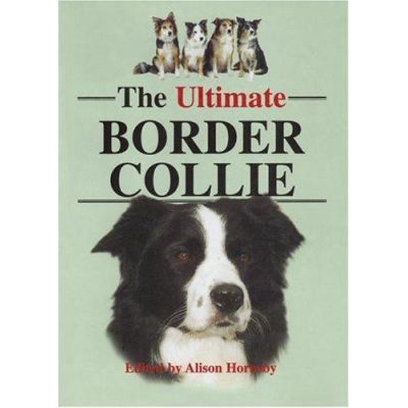Pre-Owned The Ultimate Border Collie (Hardcover) 0876055897 9780876055892