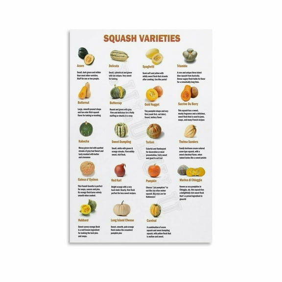 Different Types Pumpkin And Squash Poster (4) Canvas Painting Wall Art Poster for Bedroom Living Room Decor