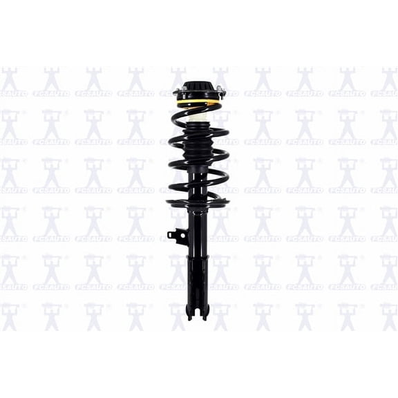 Suspension Strut and Coil Spring Assembly