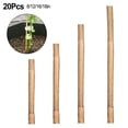 thumbnail image 5 of 20pcs Bamboo Plant Support Stakes - Natural Reusable Sturdy 16/18/8/12in, 5 of 5