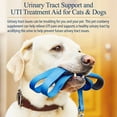 thumbnail image 4 of RX Vitamins 708429089209 Cranberry Rx Urinary Supplement Capsules for Dogs & Cats - 90 Count, 4 of 7