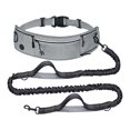 thumbnail image 1 of Correa para perros, manos libres, ajustable, cinturón, material reflectante, amortiguador elástico Gris, 1 of 9