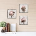 thumbnail image 3 of Pink Floral Picture Wall Art: Protea Flowers Artwork Print on Rustic Wooden Textured Wood Framed for Bathroom (12'''' x 12'''' x 3 Panels), 3 of 6