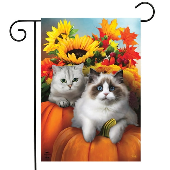 Briarwood Lane Fall Cats Floral Garden Flag
