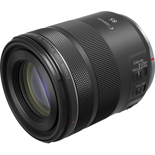 Canon RF 85mm F2 Macro STM Medium-Telephoto Lens, Black (4234C002