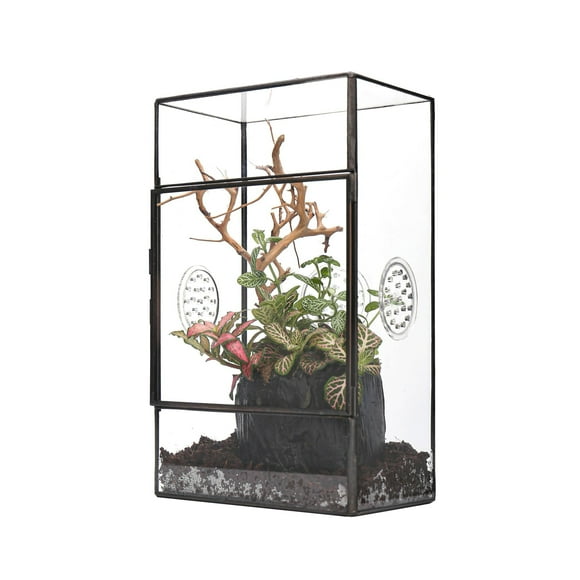 NCYP Glass Enclosure with Door and Vent Holes for Large Jumping Spider - 13 x 10 x 23 cm Front Opening Rectangle Black Terrarium - Holes Diameter 0.3cm (Terrarium Only)