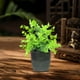 thumbnail image 5 of Ramo decorativo de plantas verdes artificiales,simulación de plantas verdes artificiales,decoración de interiores,decoración floral de plástico para sala de estar, 5 of 6
