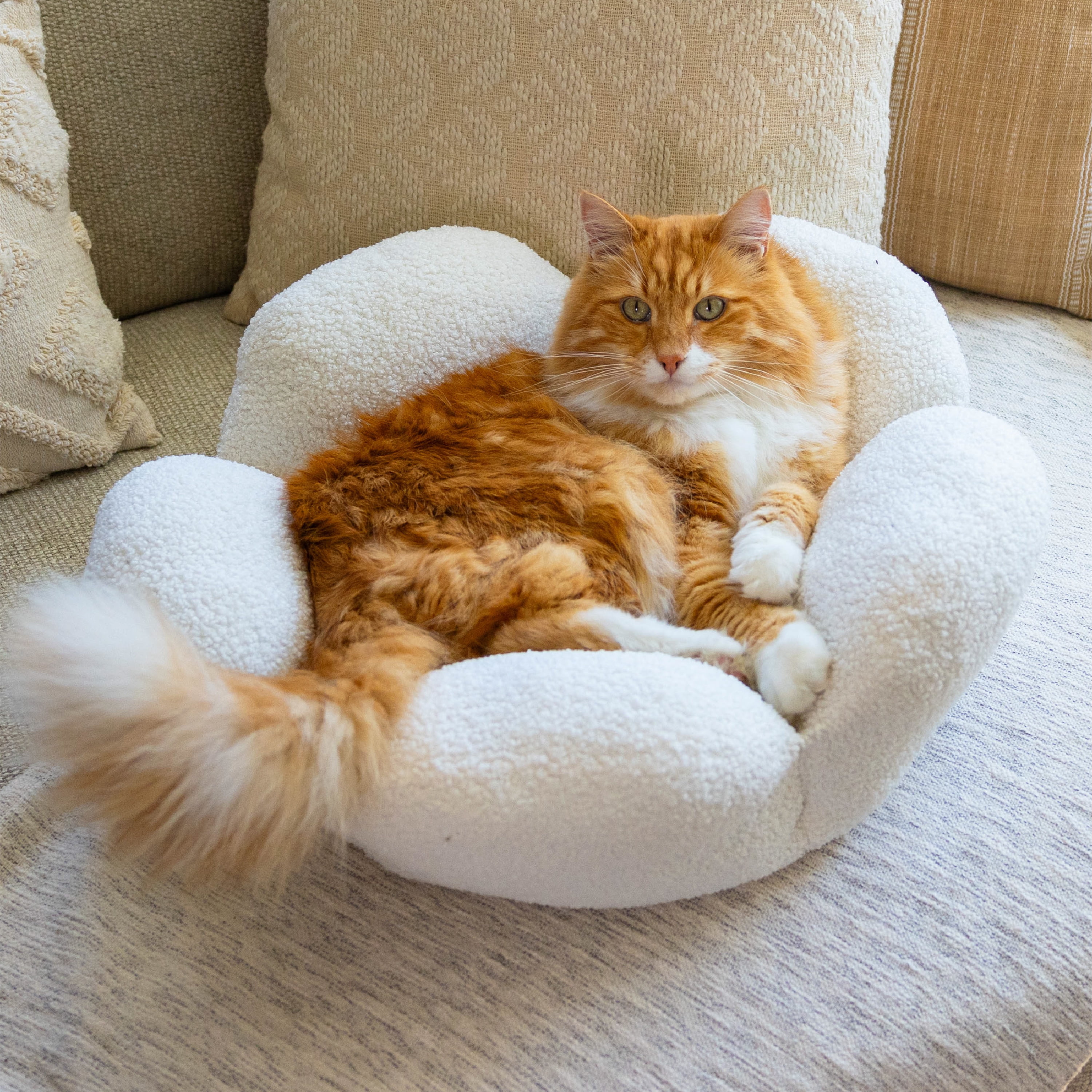 Catstages Purrfect Petals Flower Cat Bed with Plush Support and Raised Sides, White, 21 in - Secure, Soft, Comfortable Bed for Cats and Kittens