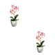 thumbnail image 4 of Plantas artificiales no tóxicas Bearachild 2Conjunto Rosa, 4 of 6