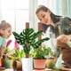 thumbnail image 4 of Musgo Para Planta De Queso Palo De Musgo Apilable Con 20 Bridas Para Cables Para Extender Monstera Pothos Vines 2 Uds Poste Serendint HA035070-00, 4 of 6