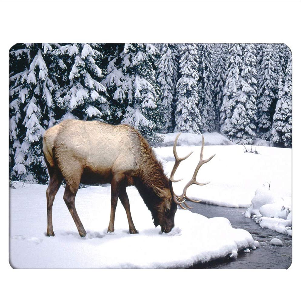 Image of ELK ELK-120 on Walmart website