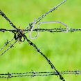 thumbnail image 3 of 1 Set Wire Tightener Fence Tightener Stainless Steel Wire Tighteners Wire Fencing Tightener, 3 of 4