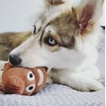 thumbnail image 4 of fouFIT Poop Emoji Plush Dog Toy with Squeaker, 4 of 4