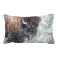 thumbnail image 1 of EREHome American Bison Or Buffalo Resting In A Snow Storm Pillow Case Cover Set 20x30 Inch, 1 of 1