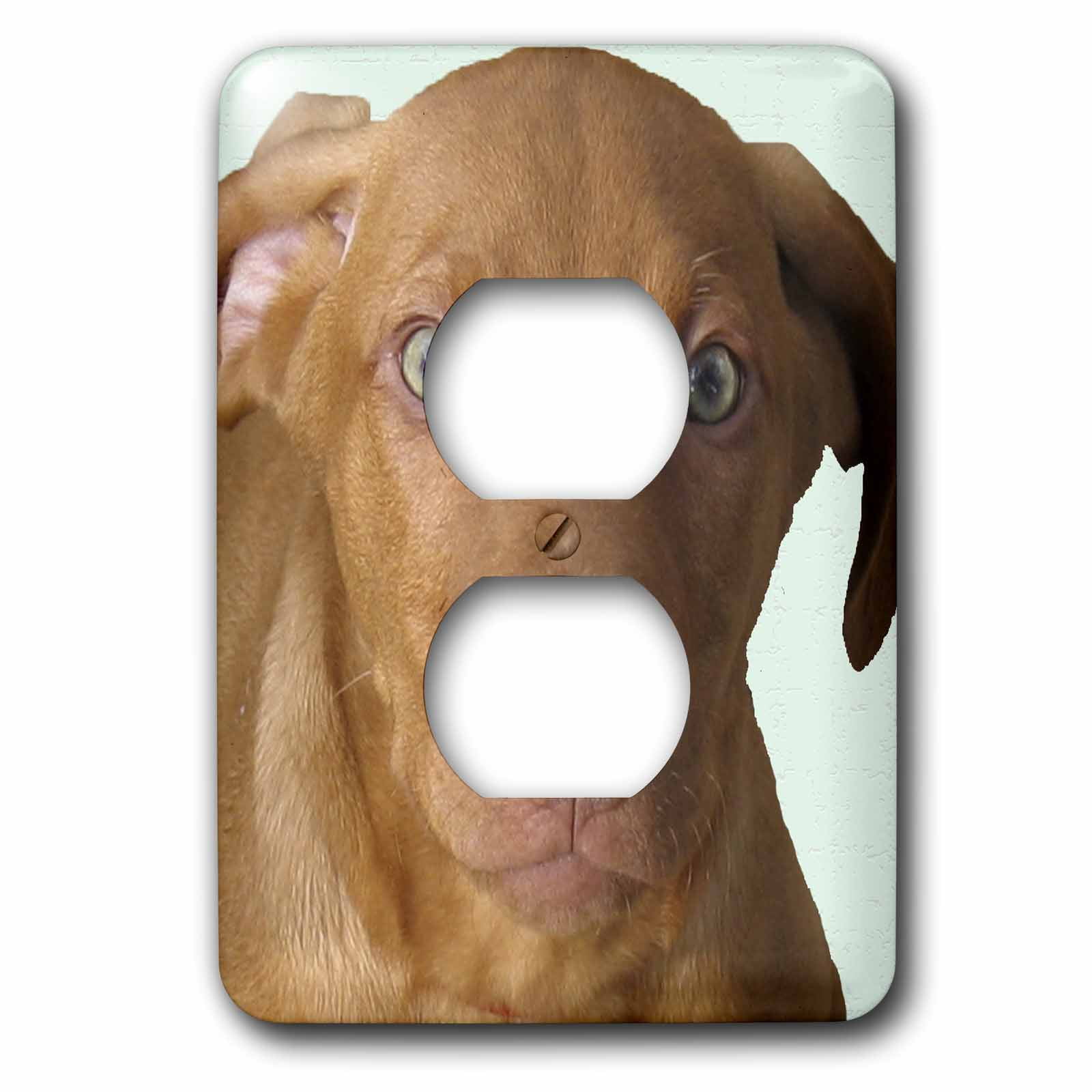 3dRose lsp_5324_6 Chesapeake Bay Retriever Portrait 2 Plug Outlet Cover 3dRose lsp_5324_6 Chesapeake Bay Retriever Portrait 2 Plug Outlet Cover