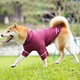 thumbnail image 4 of CBFFDC Quick Drying Pet T-shirt Pet T shirt Soft Breathable Reflective Strip Comfortable Quick Drying Protection Polyester Sports Dog T shirt with Hat Outdoor, 4 of 6