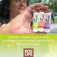 thumbnail image 2 of Bálsamo labial Eco Lips Lip Food orgánico denso en nutrientes, paquete de 3, 2 of 7
