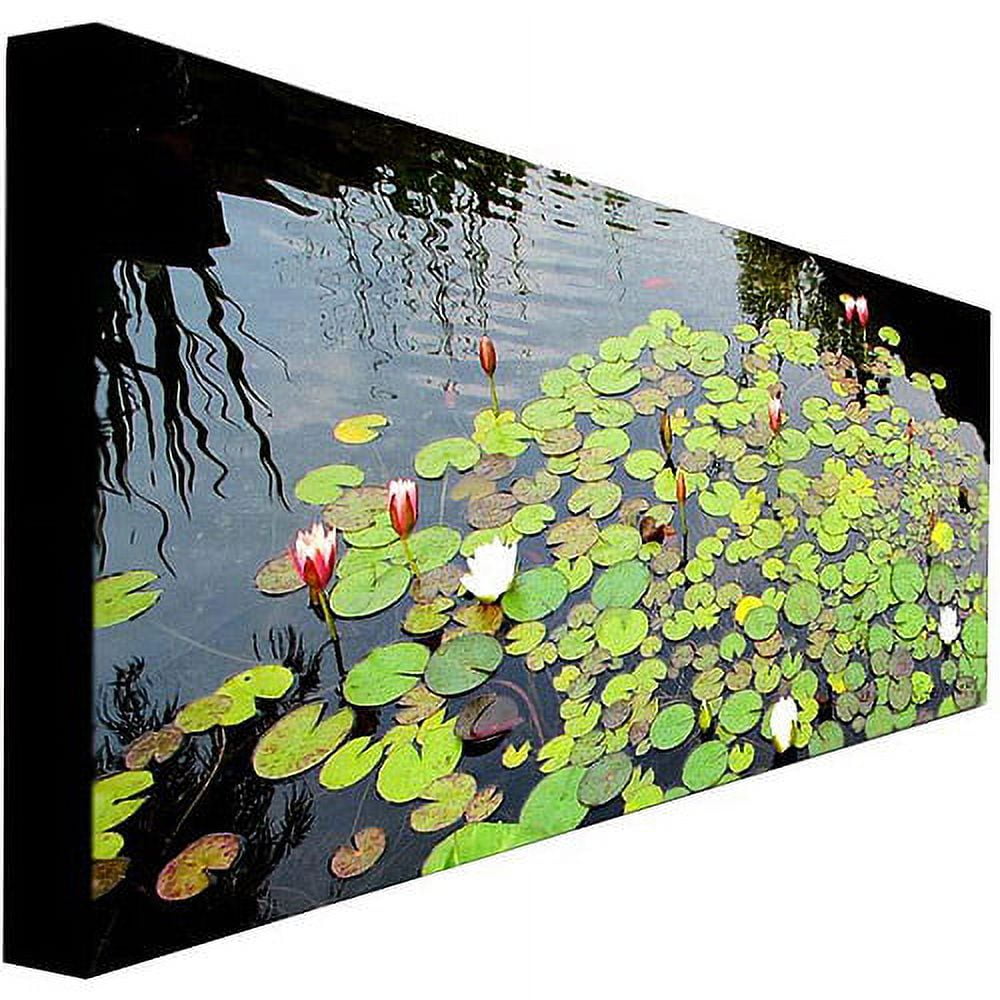 Trademark Art "Summer Lily Pond" Canvas Art by Kathie McCurdy
