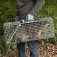 thumbnail image 4 of HAVAHART 1-Door Easy Set Large Animal Trap, 4 of 5