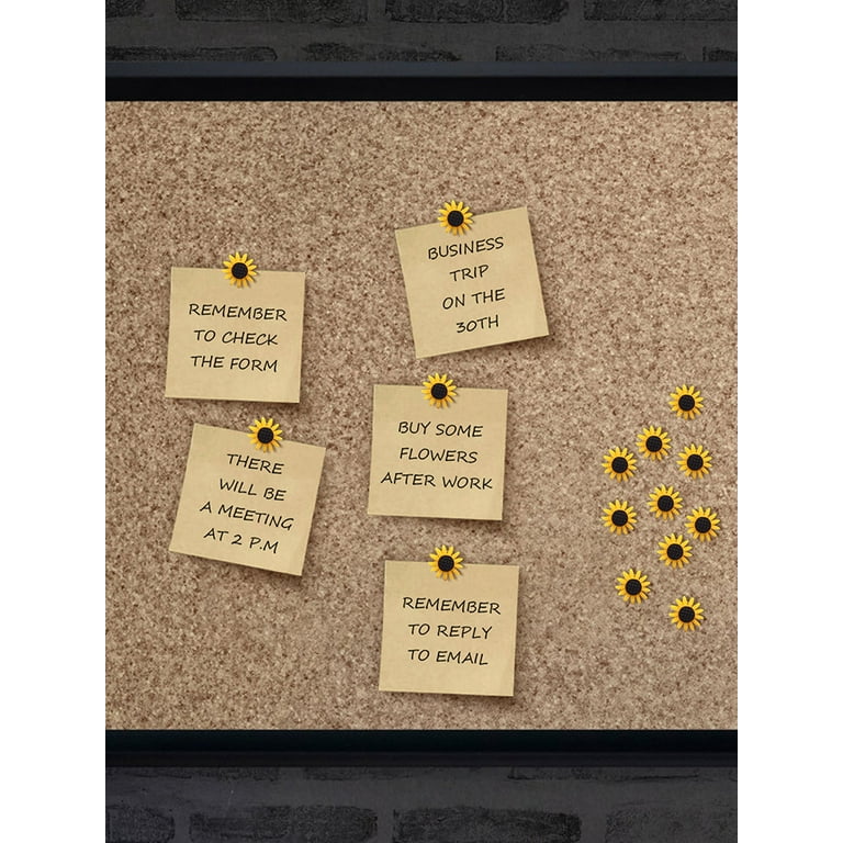Push Pins For Cork Board Bulletin Board Decorations Thumb Tacks Accessories  For Classroom Decor And Bulletin Board Decor Pushpins