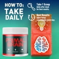 thumbnail image 5 of PrimalBrain Advanced Formula Powder Supporting Energy and Healthy Lifestyle 150 Servings, 5 of 7