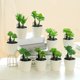 thumbnail image 1 of Decoración hogareña Gwong Planta artificial Bonsai Natural Vivid Plastic Mini Fake Succulent Plant Suculents Plastic Suculents Potted para escritorio Gwong 21078621, 1 of 6
