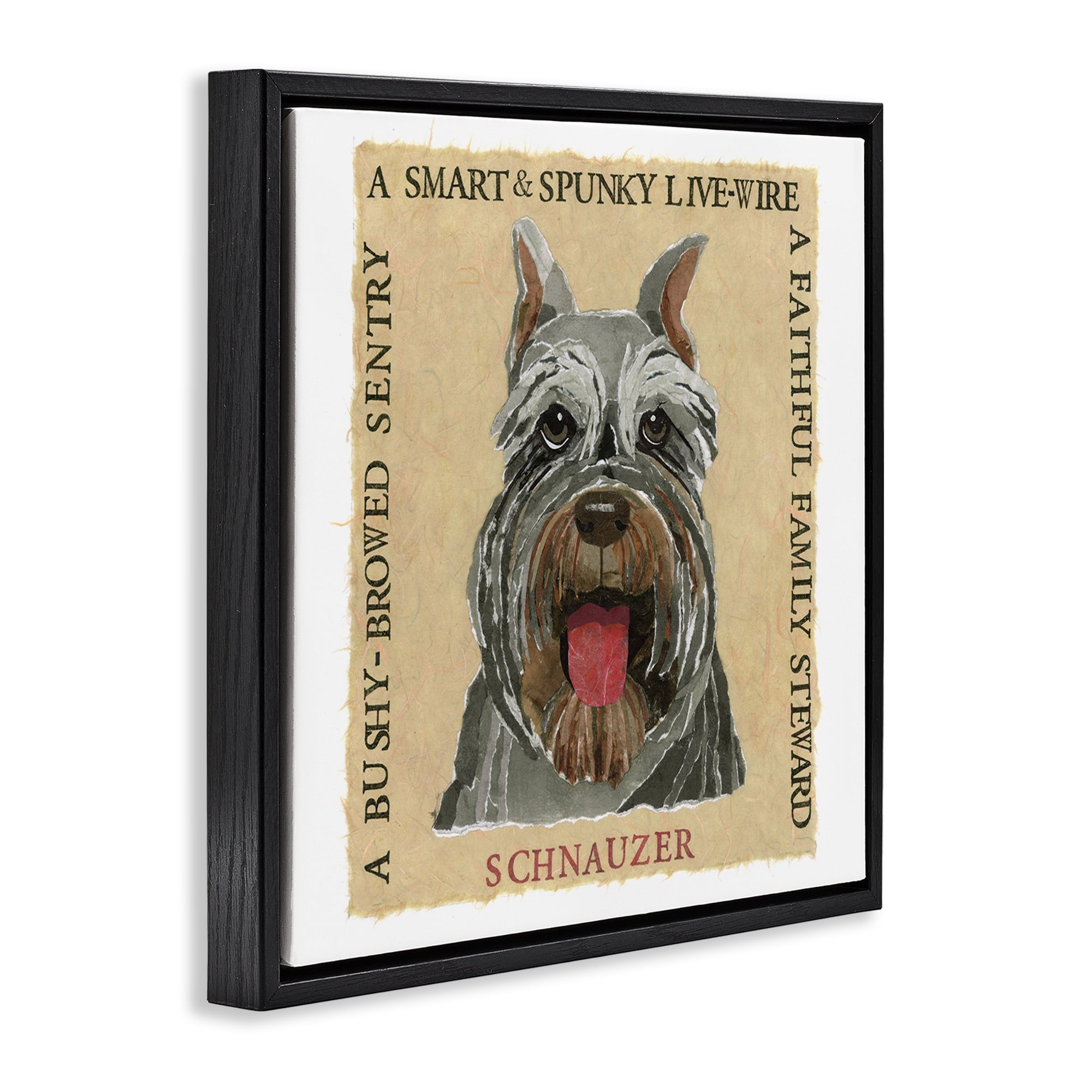 Stupell Industries Fun Schnauzer Pet Phrases Animals Painting Black Floater Framed Canvas Art Print Wall Art, 25 x 25