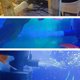 thumbnail image 2 of Greeniant 2 piezas de repuesto de bomba de oxígeno para acuario pequeño, sala de estar, agua dulce, agua salada, pecera, Mini aireador de aire, Filtros de acuario Greeniant PT005140-00B, 2 of 6