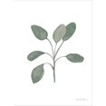 thumbnail image 2 of Art.com Fresh and Green VII Dark Stretched Canvas Print Wall Art by Farida Zaman, 24" x 32", 2 of 4