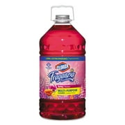 Clorox Fraganzia Multi-Purpose Cleaner, Spring Scent, 175 oz Bottle, 3/Carton