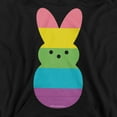 thumbnail image 2 of Rainbow Striped Easter Bunny Peep Youth Kids Boy/Girls Pull-Over Hoodie, Black, Small, 2 of 5