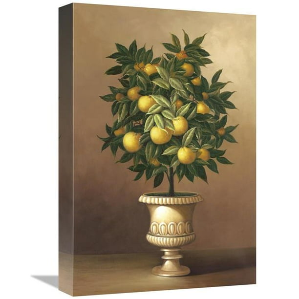 12 X 18 In Potted Orange Tree Art Print Welby Walmart Com Walmart Com