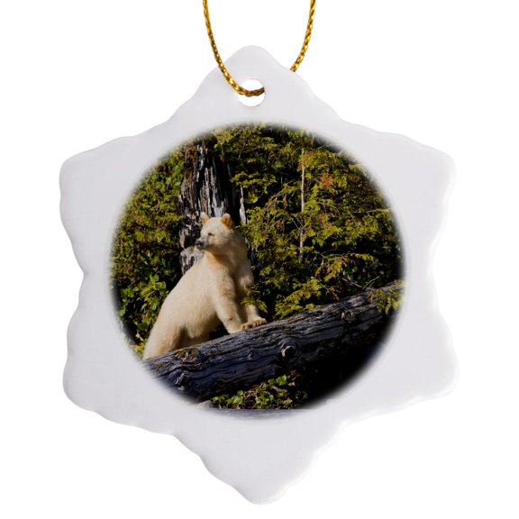 3drose, British Columbia, Princess Royal Island, Spirit Bear-cn02 Rja0002 - Rebecca Jackrel, 3 inch Snowflake Porcelain Ornament