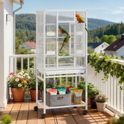 Dextrus 53" Metal Bird Cage with Rolling Stand and Castor Wheels, Large Bird Cages for Parakeets, Parrots, Cockatiels, Pigeons with 2 Free Bird Covers